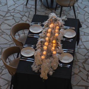 فالاينوبسيس مستوحاة من الشموع الطبيعية (ديكور الطاولة)